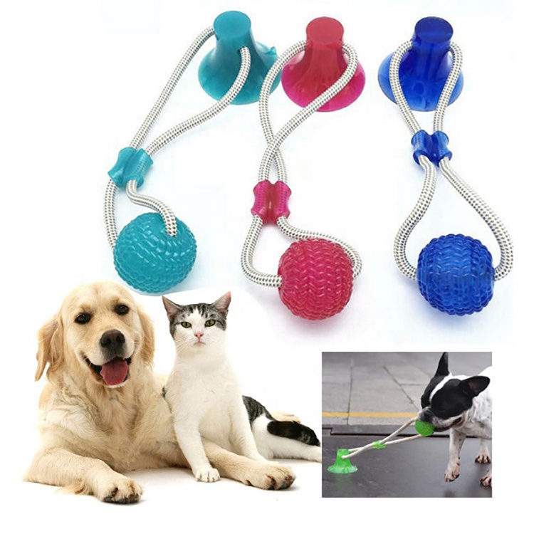 Pet Dog Toy Suction Cup Interactive Dog Molar Bite Toy With TPR Ball Tooth Cleaning Chewing Playing Ball Suction Cup