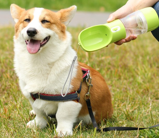 2019 Good Quality Portable Dog Water Bottle - Smart pet feeder with lock design bottle convient pet drinking fountain with cheap price – J & E