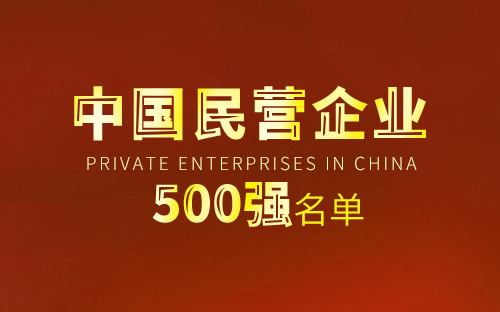 Top 500 private enterprises