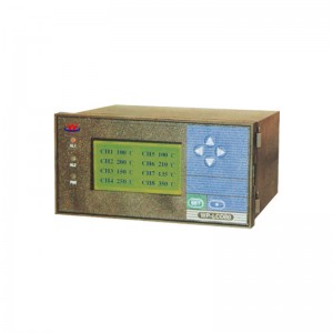 WP-LCD-R पेपरलेस रेकॉर्डर
