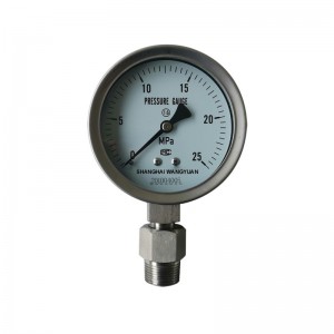 WP-YLB Series Pressura gauges