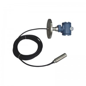 WP311B Immersion Type 4-20mA Water Level Transmitter