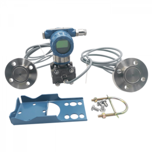 WP3351DP Differential Pressure Level Transmitter with Diaphragm Seal & Remote Capillary