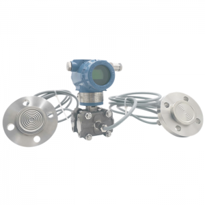 WP3351DP Differential Pressure Level Transmitter with Diaphragm Seal & Remote Capillary