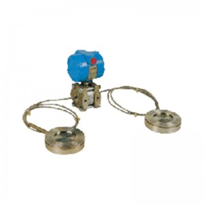 WP3351DP Differential Pressure Transmitters Level Transducers with Remote device & Flange mounted