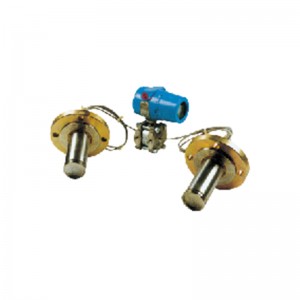 WP3351DP Differential Pressure Transmitters Level Transducers with Remote device & Flange mounted