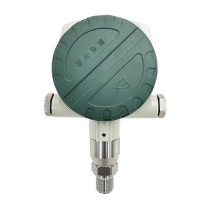 WP501 Pressure transmitter & pressure Switch with local display LED