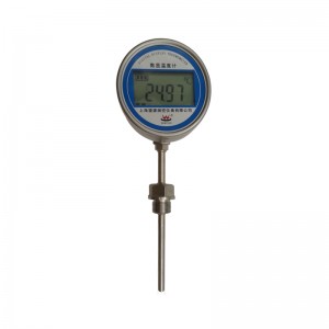 WZPK Series Armored thermal resistance Temperature Transducer (RTD)