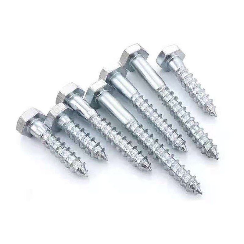 Cheapest Price  SS Pigtail Screw -
 Lag Screw – SIDA