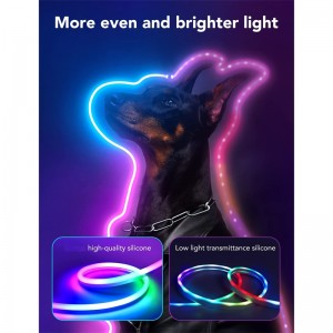 RGBIC NEON Rope Light Music Sync, LED Color Changing Strip Lights works with Amazon Alexa/Google home