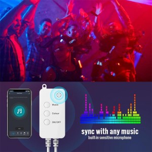 Smart WiFi Fairy Lights – Christmas String Lights Work with Alexa Google Home Voice App Control RGB Color Changing
