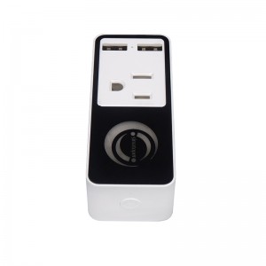 Logo Customized Smart Socket WI-FI G With Two USB ports, Approved UL ETL And FC Certificate Works with Amazon Alexa, Google Home
