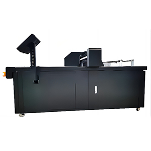 HPX452 Shopping Bag Carton Box CMYK Side Print One Pass Online Industrial Inkjet Printer
