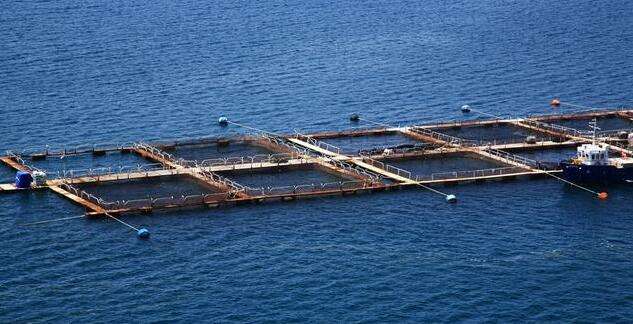 The role of several conventional physical and chemical indicators in aquaculture