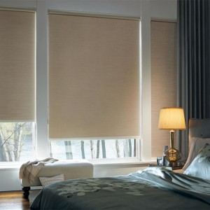 Roller Shades Blinds for Windows Blackout Shading Day Night Drill Curtain for Home Office Customized
