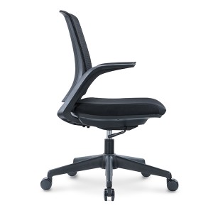 CH-316B | New Arrival WHALE Staff Chair