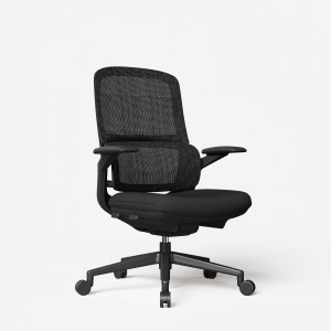 CH-529 | Double Back Mesh Chair with 2D Arched Headrest