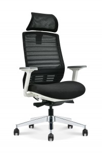 China wholesale China 5 Years Warranty Adjustable Unique Ergonomic Design Adjustable Mesh Office Chair