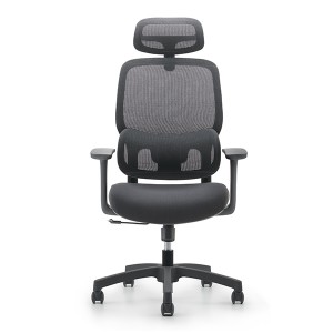 U073 | Double-back Design Mesh Chair with Knob-adjustable Lumbar Support