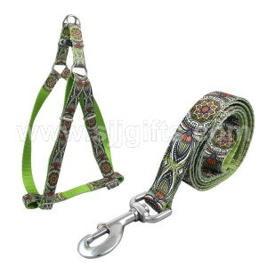 Renewable Design for China Wholesale Soft New Designer Luxury Waterproof PVC Custom Dog Collar and Leash Set Personalized with Poop Bag