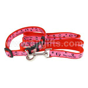 Wholesale OEM China Nylon Pet Dog Collar Leash for Small Medium Big Dogs Cat