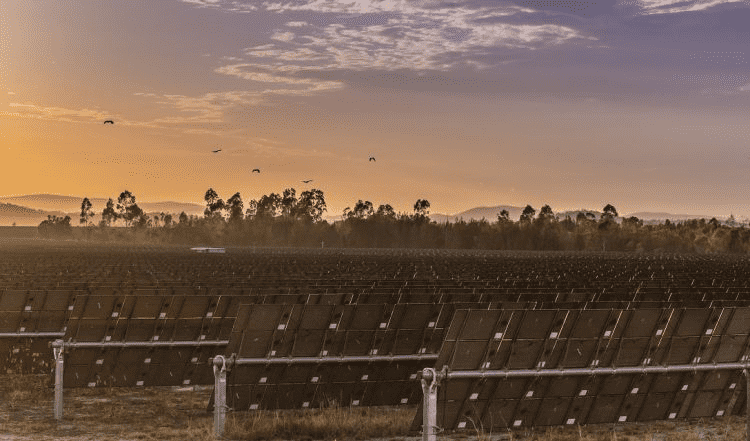 Storstilet investering i vedvarende energi i Australien rammer lavt i tre år