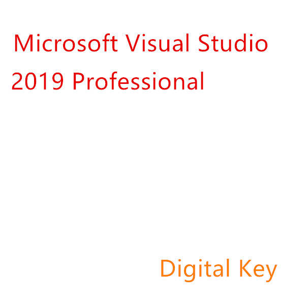 Microsoft Visual Studio Professional 2019 factory sale