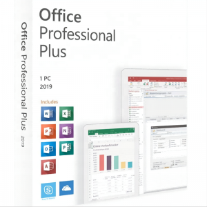 Microsoft Office Professional Plus 2019 Box DVD