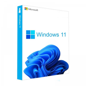 Microsoft Windows 11 Pro 64-ბიტიანი (პროდუქტის გასაღების კოდის ელფოსტის მიწოდება) – OEMretail