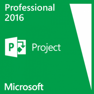 [Bind] Project 2016 Professional Activates 1 PC Online-DIGITAL KEY