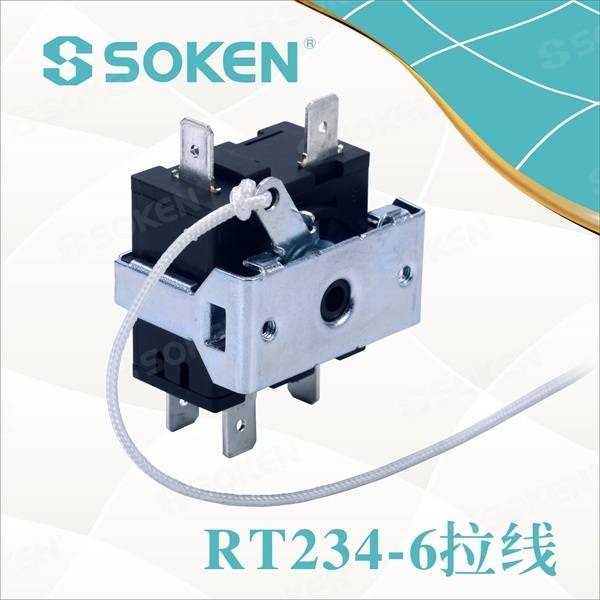 Cheapest Price Illuminated Rocker Switch -
 7 Position Rotary Switch for Fan (RT234-6) – Master Soken Electrical