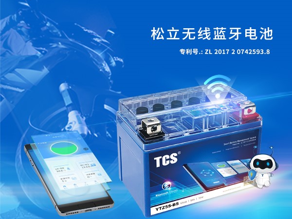 Enriching Your Journey to Batteries in Guangzhou with Songli Group