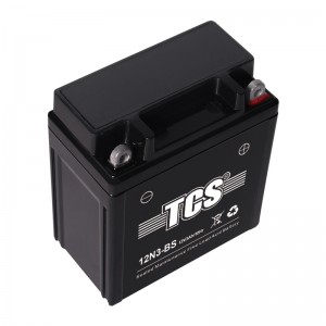 TCS SMF Battery TCS 12N3-BS