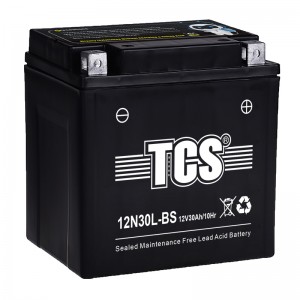 TCS SMF Battery  12N30L-BS
