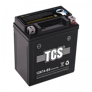 TCS SMF Battery 12N7A-BS