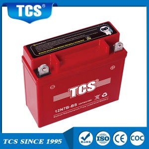 TCS SMF Batteri 12N7B-BS