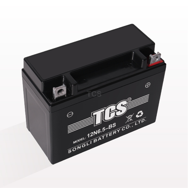 OEM Supply Motorcycle Batteries Online - TCS motorcycle battery sealed maintenance free 12N6.5-BS – SongLi