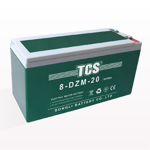 TCS electric bike bicycle scooter battery 8-DZM-20