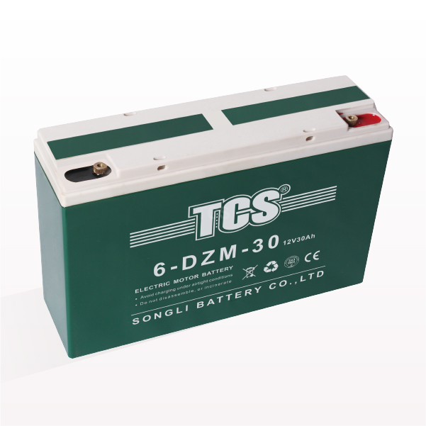 OEM manufacturer 12 Volt Ebike Battery - TCS  Electric scooter bicycle battery  6-DZM-30 – SongLi