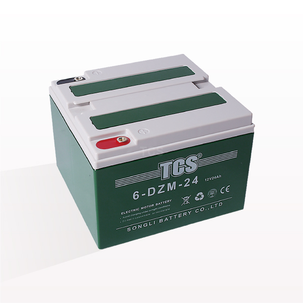 OEM Manufacturer 36v Bottle Battery - TCS 6-DZM-24 – SongLi