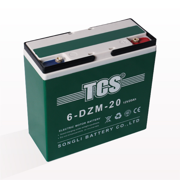 Factory Free sample Tcs Gel Battery - TCS 6-DZM-20 – SongLi