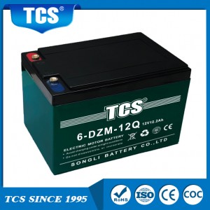 TCS elektrilise tõukeratta aku kahe/kolmerattalise akuga 6-DZM-12Q