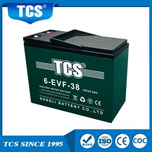 TCS Electric Bike Battery 6-EVF-38 12V