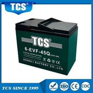TCS elektriline tõukeratas kaherattaline aku 12V 47,5Ah 6-EVF-45Q