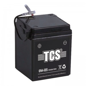 TCS SMF Battery 6N4-BS