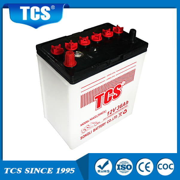 DRY charged car battery 36B20L