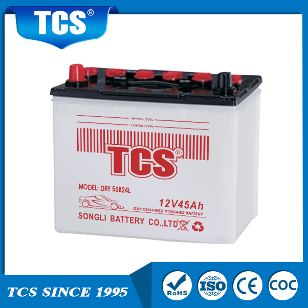 12V 45Ah Dry Charged Automotive Battery