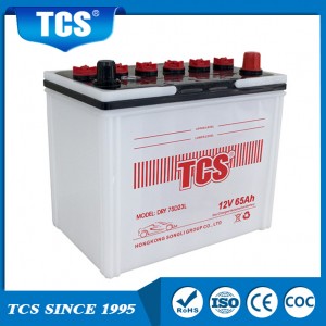 12V 65Ah Dry Charged Car Battery - 75D23
