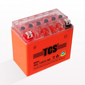 PriceList for 12v Bike Battery - TCS Gel battery for motorcycle 12N7C-BS – SongLi