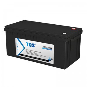 Energy Storage Lithium ion Battery TLB12-300